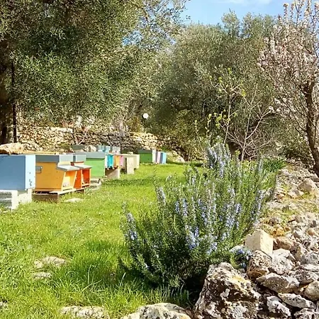 Vivere Apartmán Ostuni